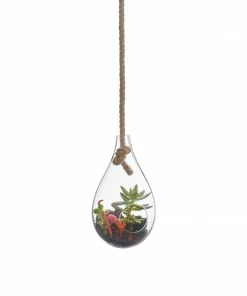 TXD BOBOLI HANGING TERRARIUM 8 TXD BOBOLI HANGING TERRARIUM