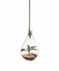 TXD BOBOLI HANGING TERRARIUM 9 TXD BOBOLI HANGING TERRARIUM