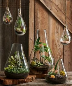 TXD BOBOLI HANGING TERRARIUM