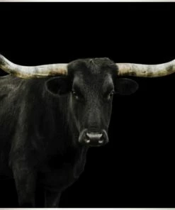 LBD Longhorn 4 By Adam Mowery BLACK 25 LBD Longhorn 4 By Adam Mowery BLACK