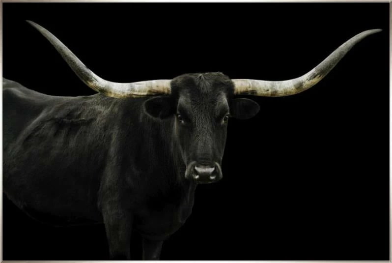 LBD Longhorn 4 By Adam Mowery BLACK 11 LBD Longhorn 4 By Adam Mowery BLACK