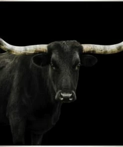 LBD Longhorn 4 By Adam Mowery (custom Size)