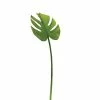 TT LEAF MONSTERA 23"