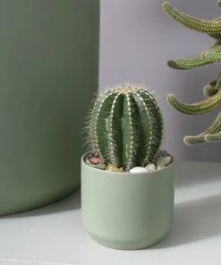 AD KENDALL SAGE POT FLORA