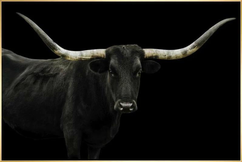 LBD Longhorn 4 By Adam Mowery BLACK 15 LBD Longhorn 4 By Adam Mowery BLACK