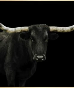 LBD Longhorn 4 By Adam Mowery (custom Size)