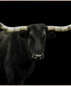 LBD Longhorn 4 By Adam Mowery BLACK 26 LBD Longhorn 4 By Adam Mowery BLACK