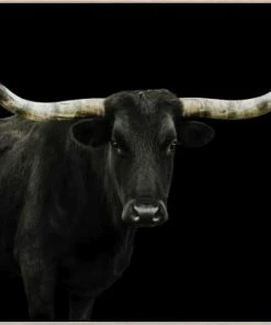 LBD Longhorn 4 By Adam Mowery (custom Size)