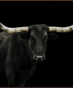 LBD Longhorn 4 By Adam Mowery BLACK 27 LBD Longhorn 4 By Adam Mowery BLACK