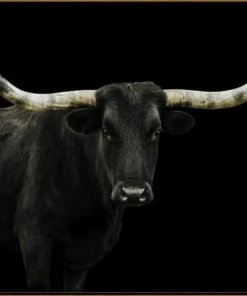 LBD Longhorn 4 By Adam Mowery (custom Size)