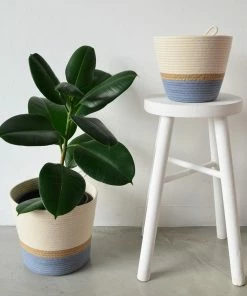 MM JUTE & BLUE-GREY BLOCK COTTON PLANTERS (SOUTH AFRICA) FLORA