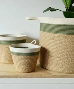 MM OLIVE AND JUTE COTTON PLANTERS (SOUTH AFRICA)