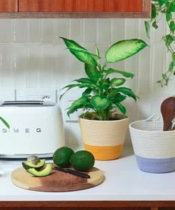 MM MUSTARD COTTON PLANTER FLORA