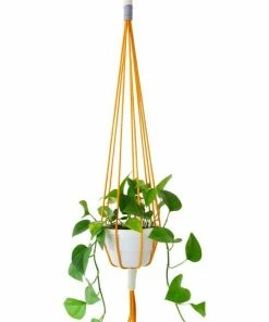 MM COTTON MACRAME PLANT HOLDERS FLORA
