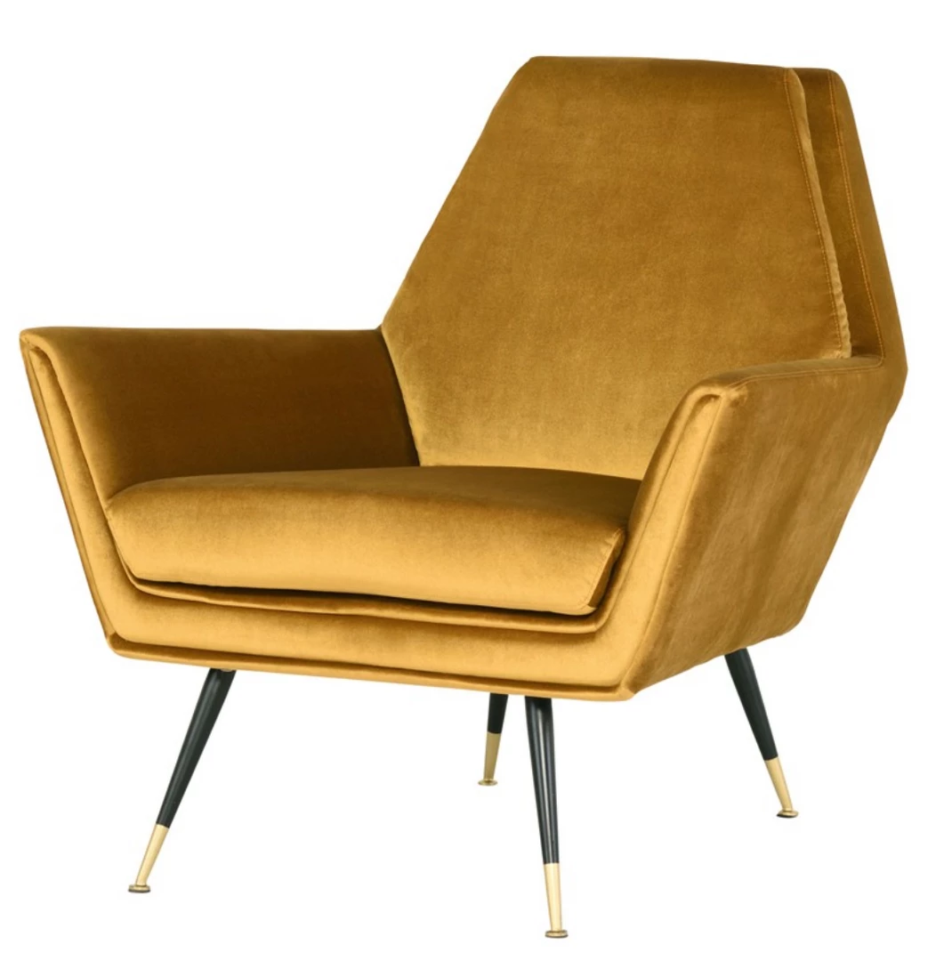 NVD VANESSA 5 NVD VANESSA