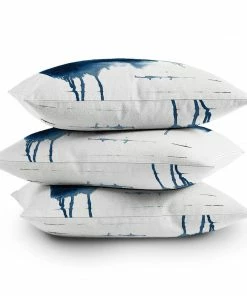 DYD WHERE DOES THE DANCE BEGIN COZY UP