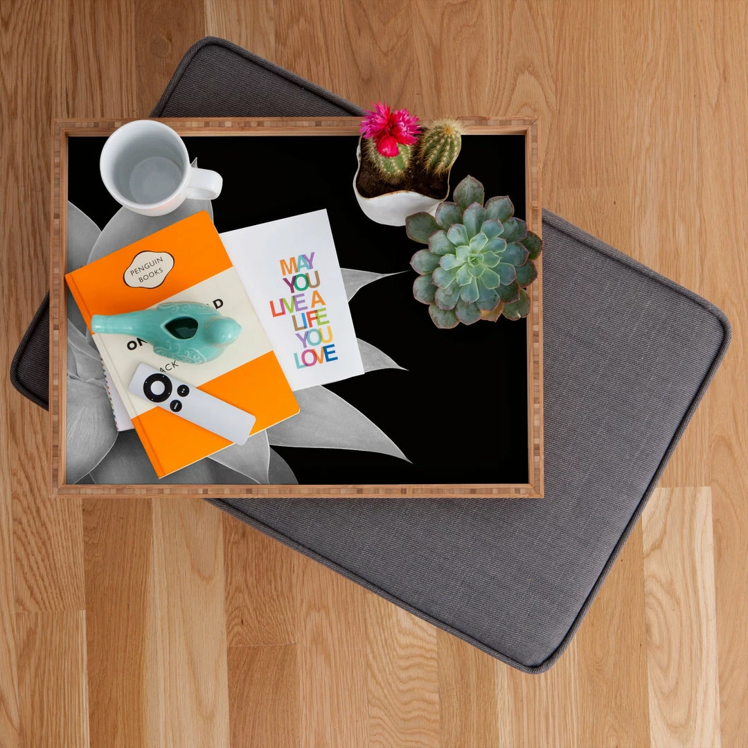 DYD AGAVE BLACK 4 DYD AGAVE BLACK