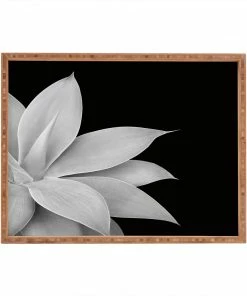 DYD AGAVE BLACK 14 DYD AGAVE BLACK