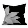 DYD BLACK AGAVE FINESSE 2 TROPICAL DECOR