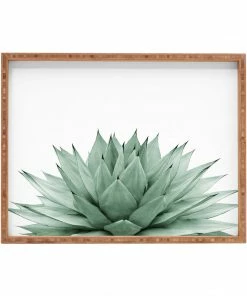 DYD AGAVE BLACK