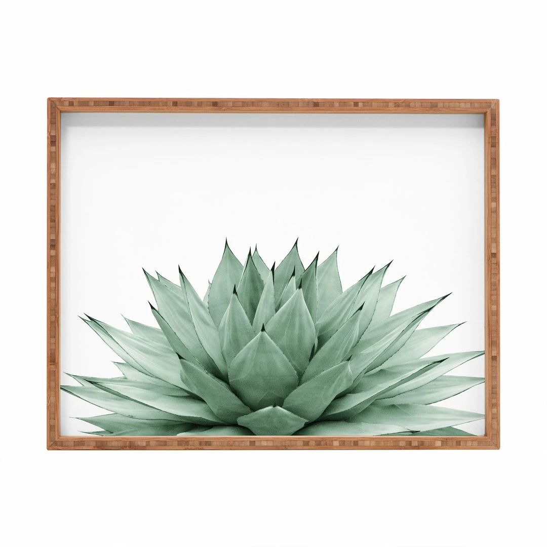 DYD AGAVE BLACK 3 DYD AGAVE BLACK
