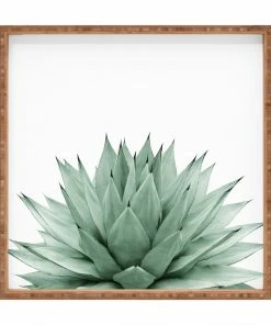 DYD AGAVE BLACK 20 DYD AGAVE BLACK