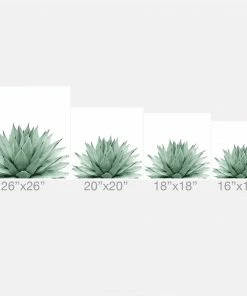 DYD COZY UP AGAVE GREEN SUMMER VIBES 9 DYD COZY UP AGAVE GREEN SUMMER VIBES