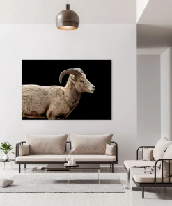 LBD Bighorn I By Adam Mowery BLACK