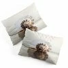 DYD SEASHELL PILLOW SHAMS SKY & WATER 1 DYD SEASHELL PILLOW SHAMS SKY & WATER