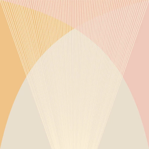 DYD BATH CECILIA PINK SHOWER CURTAIN 5 DYD BATH CECILIA PINK SHOWER CURTAIN