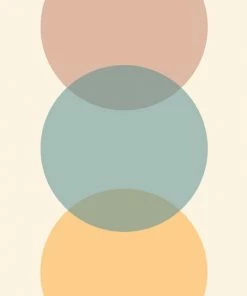 DYD CIRCLE GRADIENT MELON SHOWER CURTAIN BATH