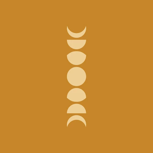 DYD MINIMAL MOON PHASES ORANGE SHOWER CURTAIN 5 DYD MINIMAL MOON PHASES ORANGE SHOWER CURTAIN