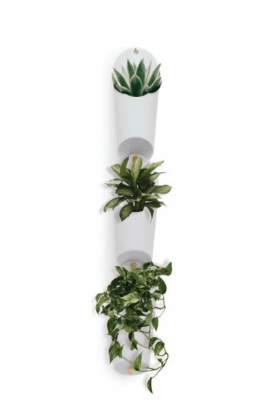 UMD FLORALINK WALL VESSEL 3 UMD FLORALINK WALL VESSEL