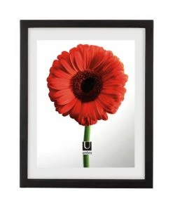 UMD DOCUMENT BLACK FRAMES