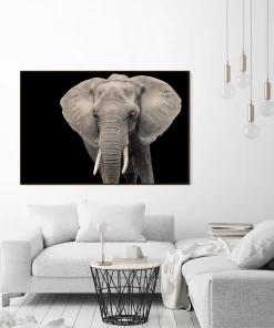 LBD Elephant I By Adam Mowery WALL ART