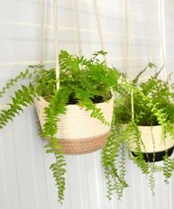 MM JUTE BLOCK HANGING PLANTER (SOUTH AFRICA) FLORA