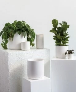 AD KENDALL WHITE POT FLORA