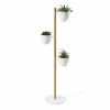 UMD BLACK FLORISTAND PLANTER 1 UMD BLACK FLORISTAND PLANTER
