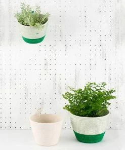 MM IVORY COTTON PLANTERS (SOUTH AFRICA)