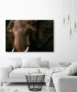 LBD The Wild II By Adam Mowery WALL ART